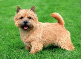 Screenshot 2024-02-26 at 1.07.44 PM.png